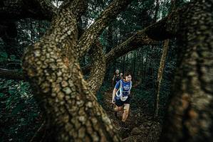 BIB: 
                            <button type="button" onclick="openModal(25697062)" class="btn btn-primary btn-sm float-right btn-popup" data-toggle="modal" data-target=".modal-high-quality">
                        <i class="fas fa-shopping-cart"></i> Add to Cart
                    </button>
                                            <button type="button" onclick="isThisMe(25697062, true)" class="btn btn-success btn-sm float-right btn-popup btn-isme hidden" data-toggle="tooltip" data-placement="bottom" title="นี่คือรูปของคุณใช่ไหม คลิกที่นี่เพื่อเอาเข้าอัลบั้ม">
                        <i class="fas fa-plus"></i> Add to album
                    </button>
                    <button type="button" onclick="isThisMe(25697062, false)" class="btn btn-warning btn-sm float-right btn-popup btn-isnotme hidden">
                        <i class="fas fa-ban"></i> Remove from album
                    </button>